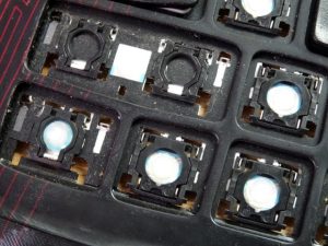 大部分可能為寵物 或人為扣碰